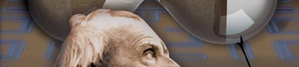 Jorge Luis Borges: Zgodovina večnosti