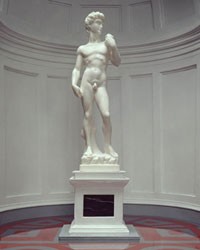 David