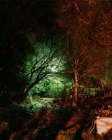 park